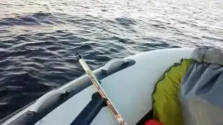 Надувная лодка X-River Grace 360 + Tohatsu 9.8