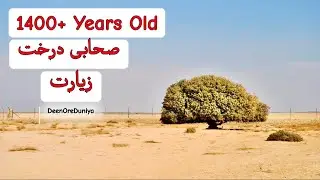 Sahabi e Darakht. 1400 plus years old Tree. Urdu and Hindi.