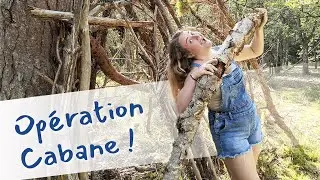 Construction d'une cabane dans la forêt