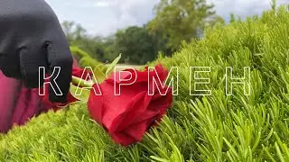 Кармен - клип. Игра на пианино. Дуэт пианисток CON FUOCO.