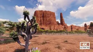 Desert Landscape
