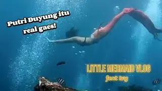 Putri Duyung itu nyata?? 😱🧜‍♀️