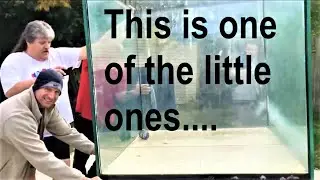 Moving Humongous Aquariums At The Ohio Fish Rescue!