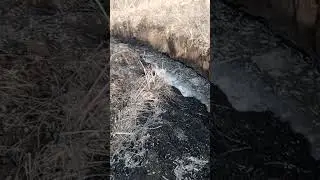 Прокопьевск как то так.