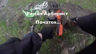 Full arboriculturist