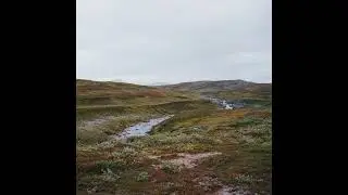 Gidge - Bleak