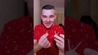 БЕЛКА И НЮША УМЕЮТ РАЗГОВАРИВАТЬ 2 
