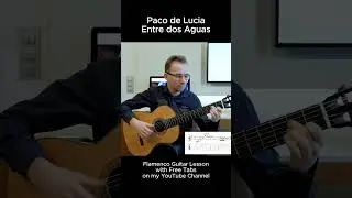 Entre dos Aguas - Paco de Lucia (Lesson) #flamencoguitar #entredosaguas #pacodelucia #guitar