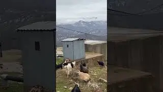 Dersim (Tunceli) Şehir Merkezi Sırtlarında Bir kış Vakti …