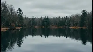 Tiny Moving Parts x Free Throw Type Beat 🎸