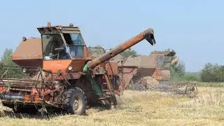 Жатва 2022.4К.