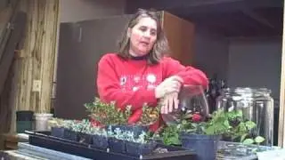 Updates on Growing and Gardening Indoors