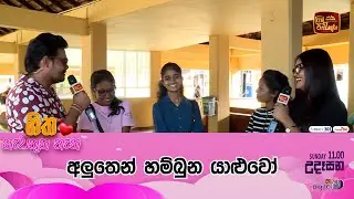 අලුතෙන් හම්බුන යාළුවෝ