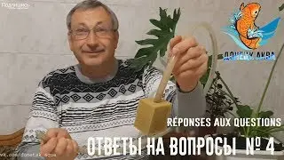 донецк аква, ответы на вопросы № 4, все о аквариумных рыбках, советы, как содержать, когда нерестить