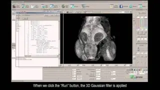 FluoRender OpenCL filters and image processing