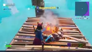 Fortnite wins
