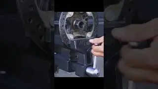 #shorts WILTON - VISE
