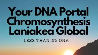 Your DNA Portal Chromosynthesis Laniakea Global | Less than .5% DNA