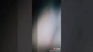 Саня шип