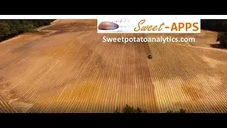 Sweet-APPS