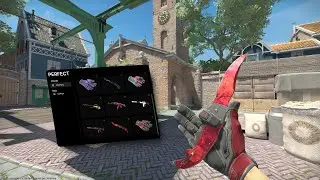 BAIXAR, INSTALAR E UTILIZAR NOVO [SKIN CHANGER] PARA CS2 INDETECTAVEL E ATUALIZADO