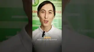 ХИТ-ПАРАД НЕПРИЯТНОСТЕЙ / ЖИТЬ