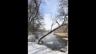 Нежное стихотворение о любви/ В. Асмолов/Мне приснилась река Мечта/Poems about the river
