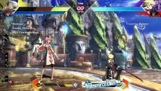 20k Liz/Nine punish combo