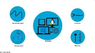 Why You Should Learn Python