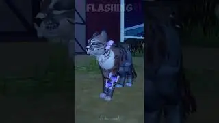 Howling in my head