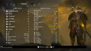 Nioh 2 Build