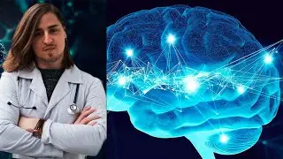 Владимир Алипов о квантовой теории сознания