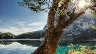 ॐ Shiva Ektar & Flute || Meditation Music with soothing visuals [4K]