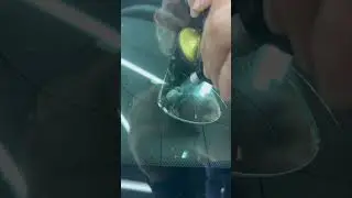 Ремонт огромного скола на Vesta