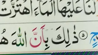 Live Quran Class