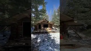 3 Homeschoolers Built This Cabin in the Middle of the Woods... by Themselves! #logcabinbuild