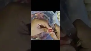 MEU TEMPERO CASEIRO/PRATICIDADE NO DIA A DIA ❤️❤️