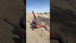 Spiderman's HEAD STUCK IN SAND | #Shorts
