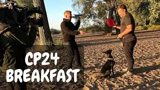 Frisbee Rob and Sailor on CP24 Breakfast