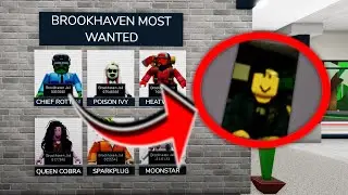 Who Are The Brookhaven Most Wanted In Roblox Brookhaven RP