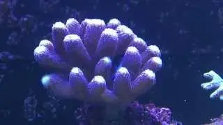 IMG 1505