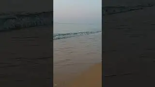 Акулам такое и не снилось 🙀  
