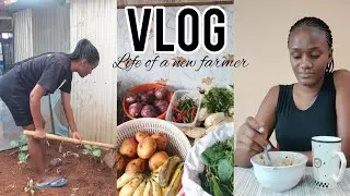VLOG; How to save on food in Kenya, how to start small farming, grocery haul and more...