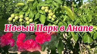 В Анапе 1 июня открытие обновленного парка Ореховая Роща! Отличное место с фонтаном для прогулок.