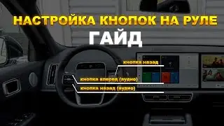 Кнопка назад LiAuto! Кнопка переключения аудио с руля!