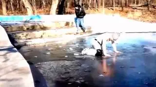 саме прыкольное видео