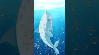Aysuda Ülkü Zeren - Yunus #shorts 1