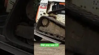 What do you think? 