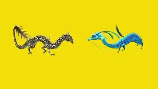Face to face Blue and gold dragon !! on green screen no copyright