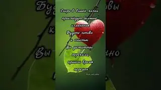 Цитаты великих ...